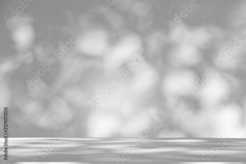 Wall interior background, studio and backdrops show products.with shadow from window color white and grey. background for text insertion and presentation product	