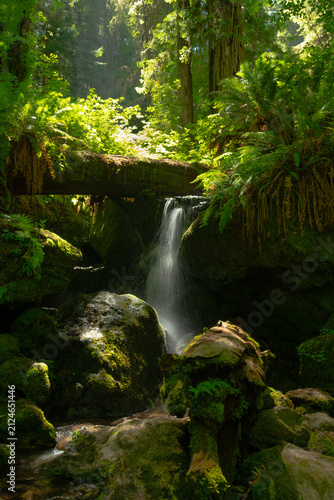 the falls beneath the woods