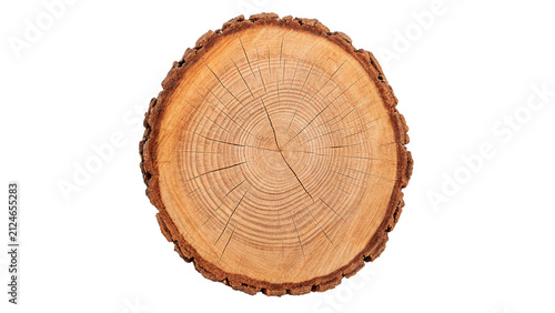 Fotografie Round wooden log slice tree trunk cross section texture isolated on transparent