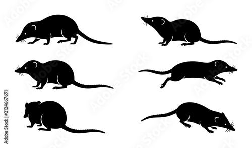 Canvastavla Set of Six Black Silhouette Rodent Icons, Vector Graphics for Wildlife and Pest