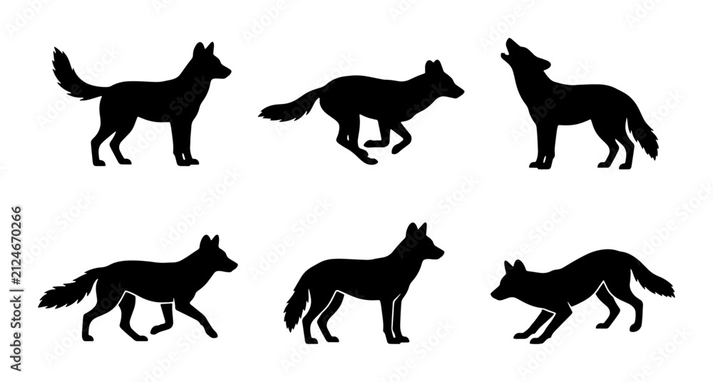 Obraz premium Wolf Silhouette Set, Canine Animal Poses, Wild Predator Vector Icons, Nature Wildlife Graphics