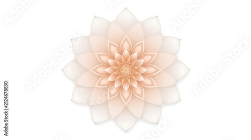 Detailed geometric mandala art design