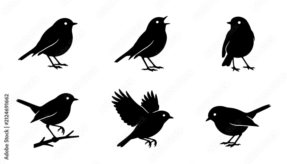 Fototapeta premium Set of Six Black Bird Silhouettes, Vector Icons, Nature and Wildlife Graphics