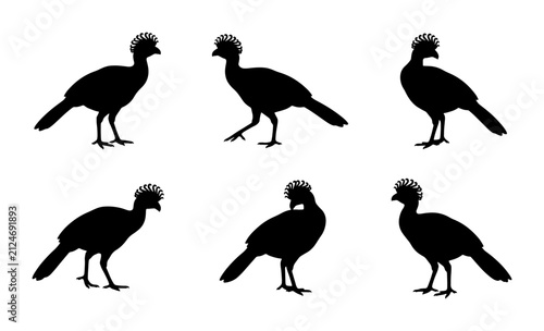 Foto Six Silhouette Crested Birds, Exotic Avian Icons, Tropical Wildlife Vector Set