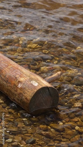 Peaceful scene showing calm, transparent water rippling over a pebbly riverbed, with a weathered wooden log resting at the edge, reflecting the subtle movement and sunlight