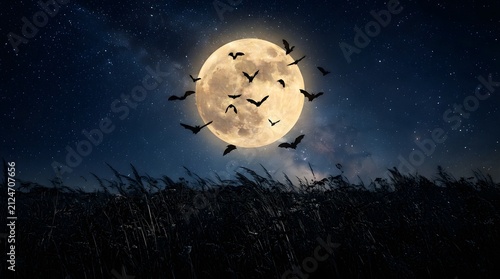 A spooky halloween wallpaper featuring a large bright full moon in the dark night sky with silhouettes of flying bats over a mysterious forest landscape