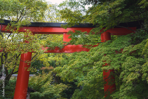 京都 下鴨神社 西参道の鳥居