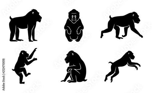 Canvas Print Baboon Silhouette Collection: Six Vector Poses of Primate Wildlife, African Mamm