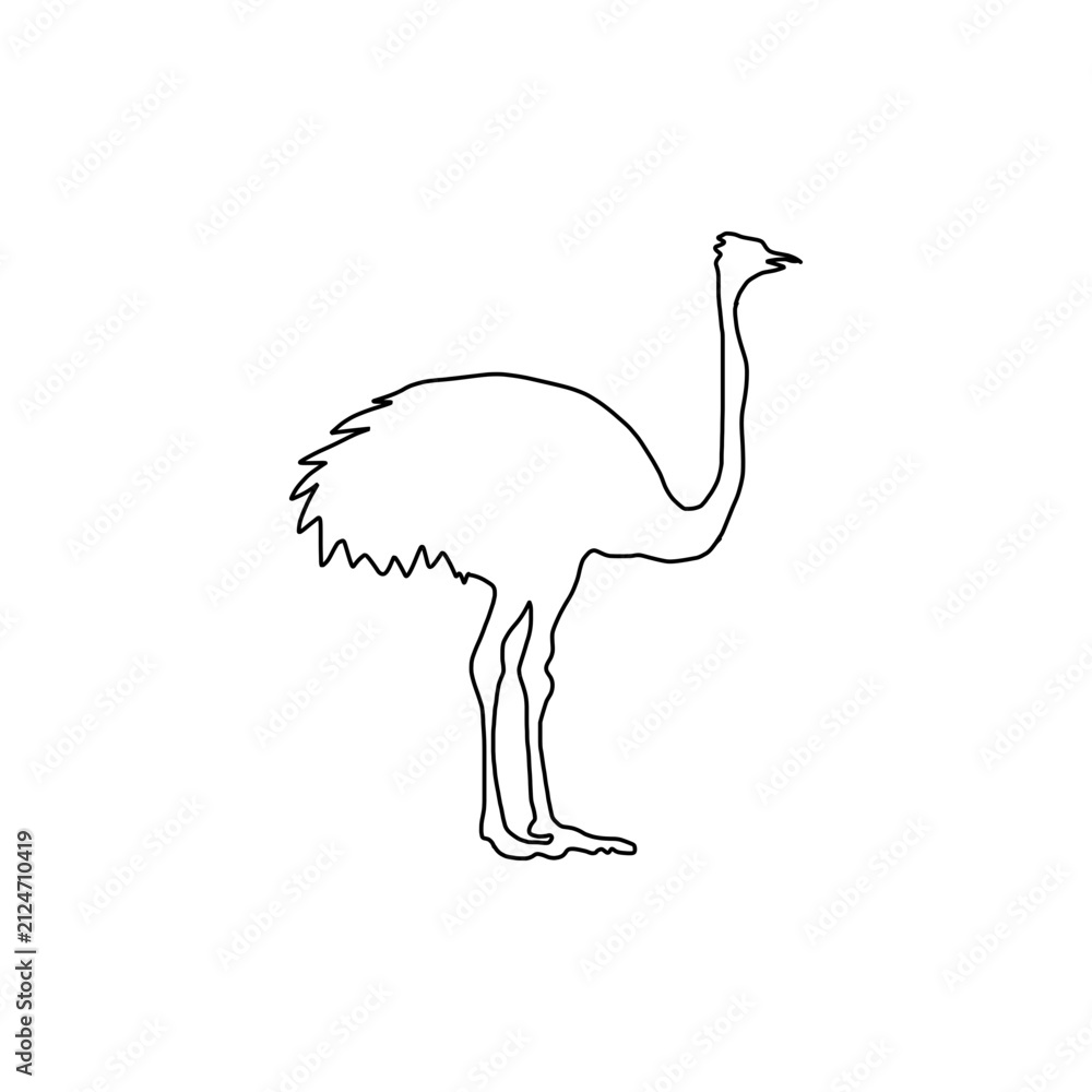 Obraz premium Ostrich Emu Hand Drawn Line Art Vector Icon Illustration