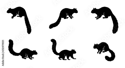 Canvastavla Squirrel Silhouettes Vector Pack: Six Dynamic Poses, Black and White Animal Grap