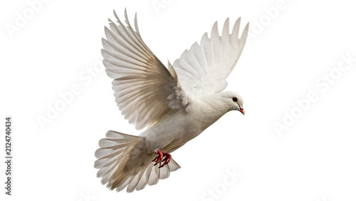 Photography White dove bird flying in air isolated on transparent background for peace conce