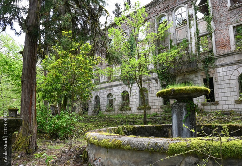 A ruined building surrounded by lush greenery
