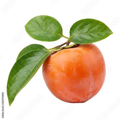 Fresh Persimmon Leaves Isolated On Transparent Background