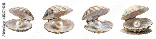 set of the four premium the collection (  pearl nestled within an open shell) on withe background PNG photo high quality''