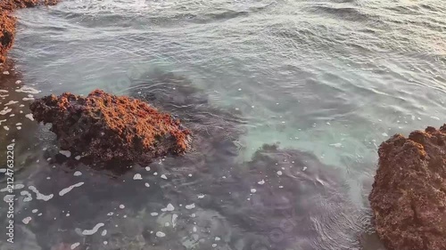 calm waves at the water's edge