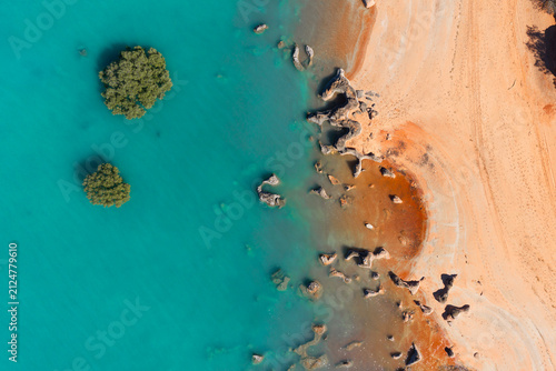 Aerial view of Tree in ocean with red sandy coastline along turquoise water at Red Sand Beach, Roebuck Bay, Broome, Western Australia