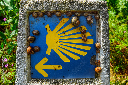 Close up of an official blue and yellow Camino de Santiago sign with snails on a stone milestone along a rural path in Asturias, Northern Spain.