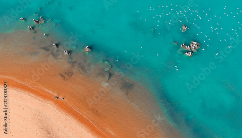 Aerial view of pelicans on rocks in the ocean along red sandy coastline with turquoise water at Red Sand Beach, Roebuck Bay, Broome, Western Australia