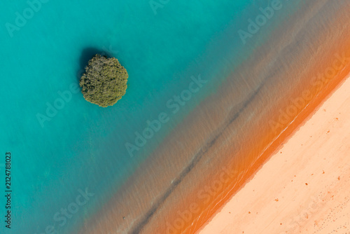 Aerial view of Tree in ocean along red sandy coastline with turquoise water at Red Sand Beach, Roebuck Bay, Broome, Western Australia