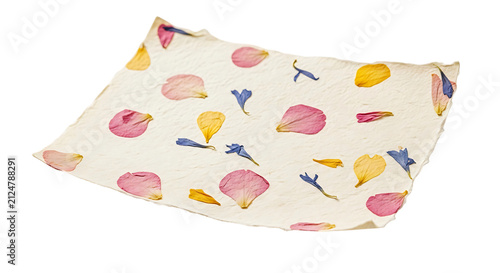 Konstfotografi PNG - A beautifully textured handmade paper sheet adorned with pressed flower pe