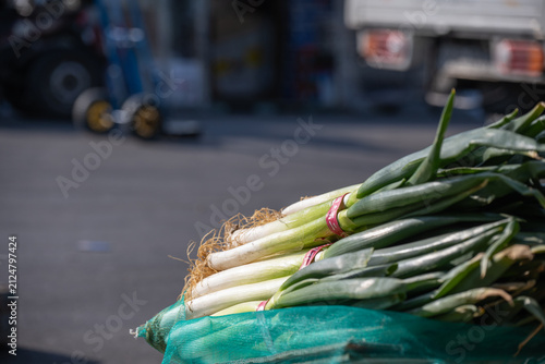 Принти на полотні Fresh green onions bundled at traditional Korean street market with copy space