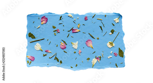 PNG - A vibrant blue paper with delicate flower petals and leaves arranged in a natural composition on a textured surface