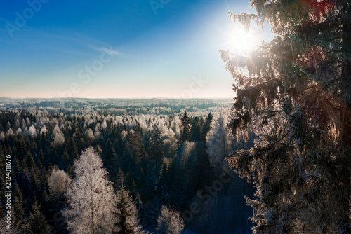 Beautiful winter scenery in forest during sunrise captured from above