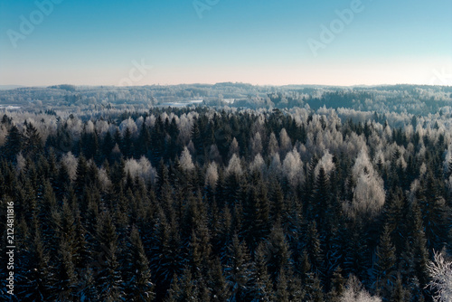 Beautiful winter scenery in forest during sunrise captured from above