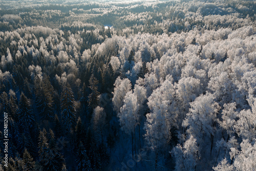 Beautiful winter scenery in forest during sunrise captured from above