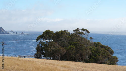 The beautiful costline landscape along the No 1 highway in California