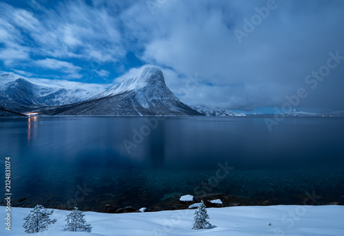 Fotografie Winter moonlit  Landscape