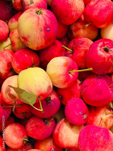 Close Up of Red and Yellow Small Apples Pile – Autumn Harvest Background