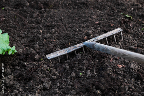 Garden rake on black soil background in farmland, rake leveling ground in garden, rake as gardening tool in field, copy space