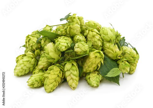 Heap of fresh green hops.