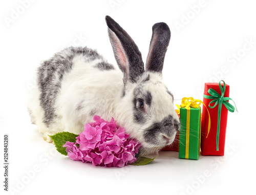 Spotted rabbit with flower and gifts.