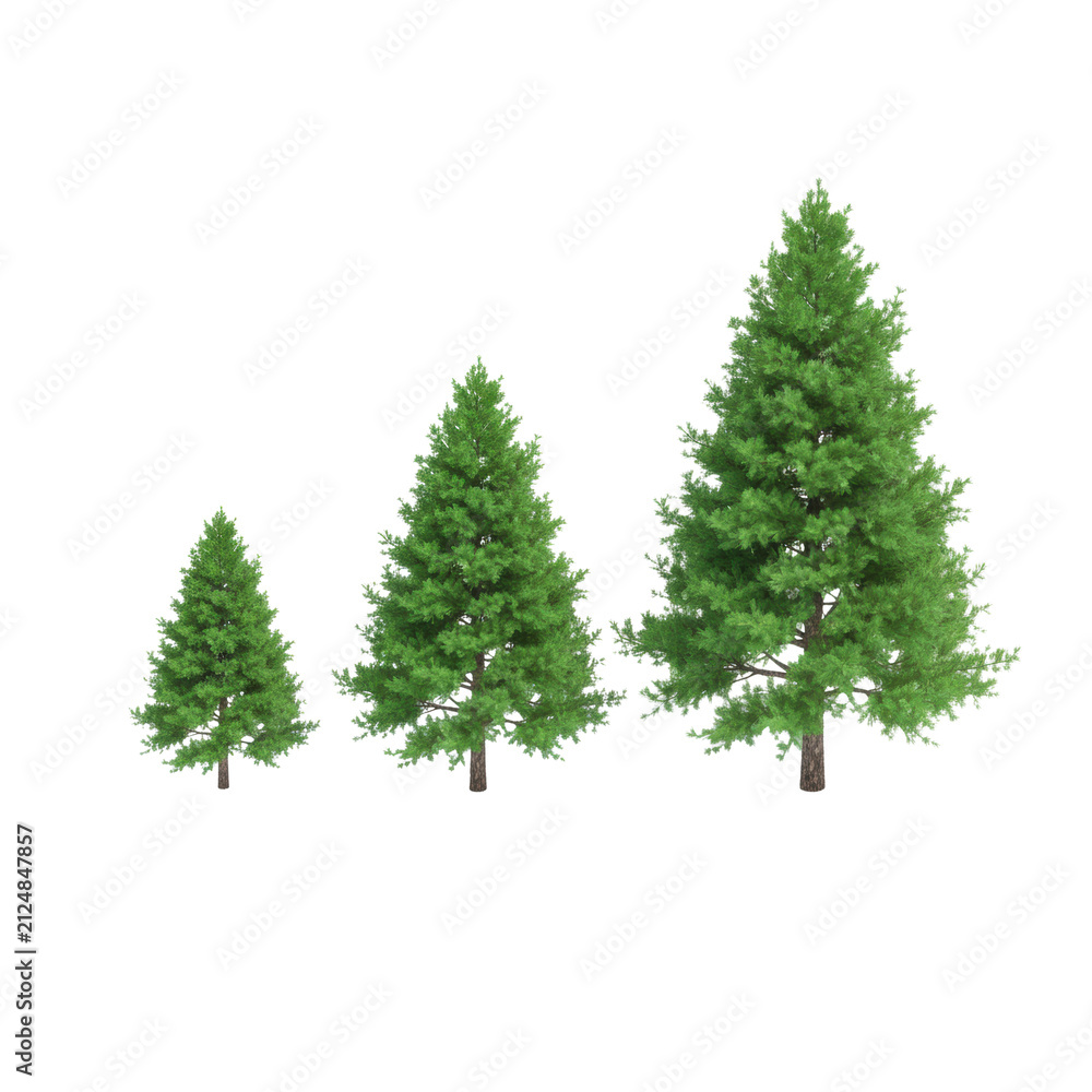 Obraz premium Three coniferous trees of varying size arranged in an equidistant row against a white background, featuring lush emerald foliage and soft shadows, minimalist design