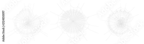 Foto Set of white spider webs on transparent background.