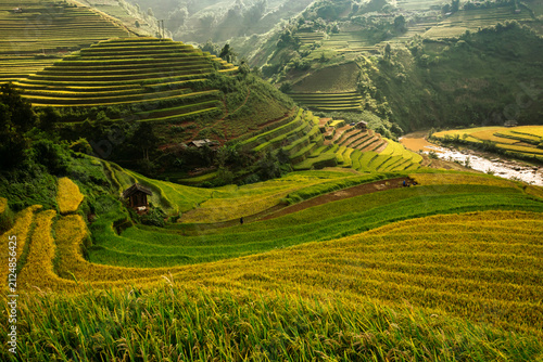 Golden ripe rice terraces in Mu Cang Chai, Vietnam. Iconic autumn landscape and famous travel destination.