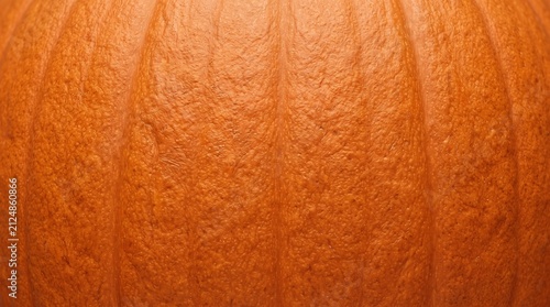 Close-up of pumpkin skin texture showing vibrant orange color. Macro shot highlighting detailed surface and natural patterns.