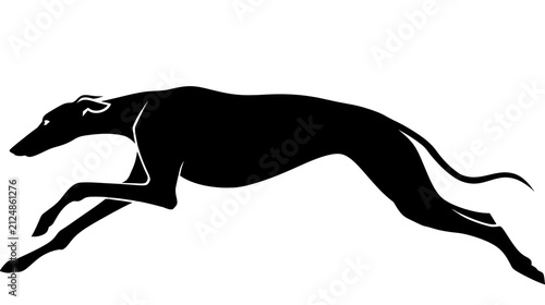 Bild auf Leinwand Black greyhound dog silhouette running fast, isolated on transparent background