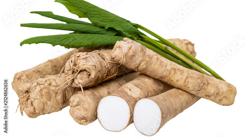 Fotografie Fresh horseradish roots with green leaves cut and whole, isolated on transparent