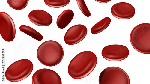 Bild auf Leinwand Numerous red blood cells isolated on transparent background, floating in a fluid