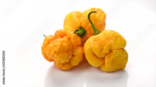 Yellow Trinidad Moruga Scorpion hot Pepper Chili isolated on white background, closeup. One of the hottest peppers in the world, heat level 1,200,000 to 2,000,000 Scoville Heat Units (SHU). 