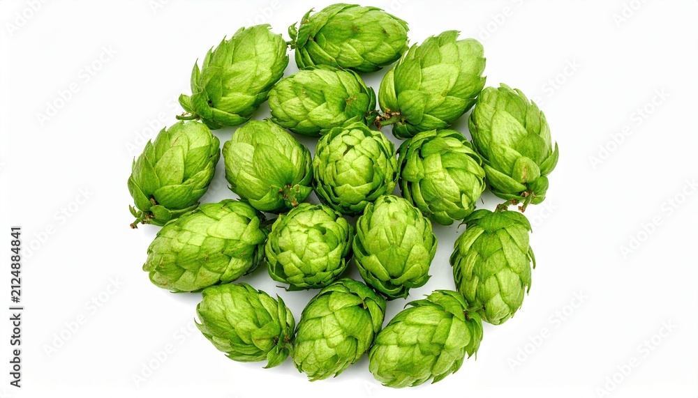 Fototapeta premium Fresh Green Hop Cones Isolated on White Background for Brewing and Beer Production