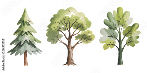 Watercolor Clipart: Set of Three Isolated Hand-Painted Trees
