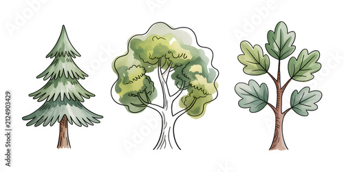 Watercolor Clipart: Set of Three Isolated Hand-Painted Trees

