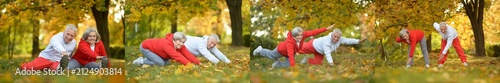 Senior group doing outdoor stretching exercise in autumn park