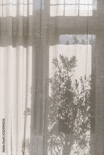 Delicate botanical shadows cast on a linen curtain by natural sunlight. Minimal abstract composition evoking calm, warmth and slow living.
