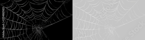 Konstfotografi Detailed Spider Web Corner PNG with Creepy Cobweb Texture, Transparent Isolated Background for Gothic Banner, Poster and Graphic Design