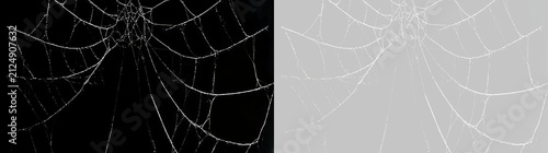 Canvastavla Transparent Spider Web PNG with Thin Tangled Threads, Creepy Halloween Decoration, Isolated Background for Gothic Artwork and Creative Illustration